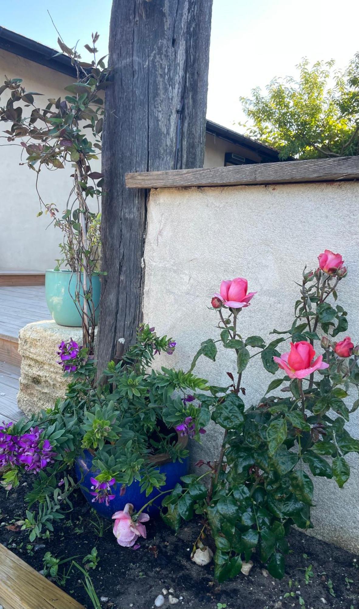 Instant Zen Bed & Breakfast Saint-Vivien-de-Médoc Exterior photo
