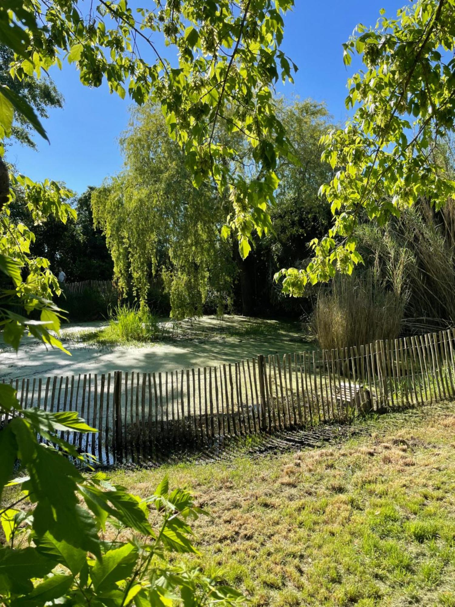 Instant Zen Bed & Breakfast Saint-Vivien-de-Médoc Exterior photo